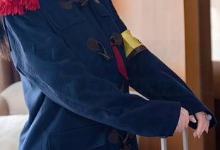 秀人网 – 比基尼野玫瑰：MODEL伊若的写真集，下载开启求生模式！