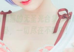 雯粥粥与黑猫的无圣光合集,猫咪大战八卦,一切尽在不言中!